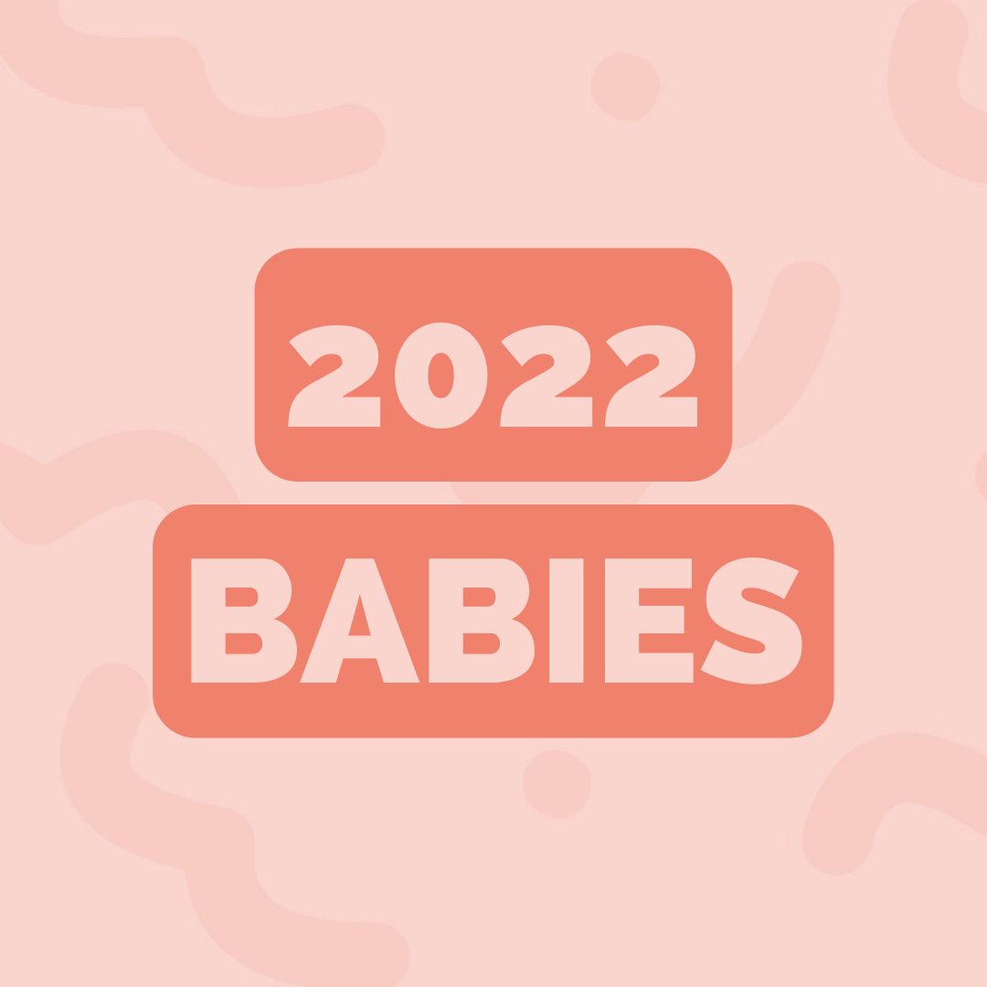 2022-babies-the-bump-to-baby-chapter